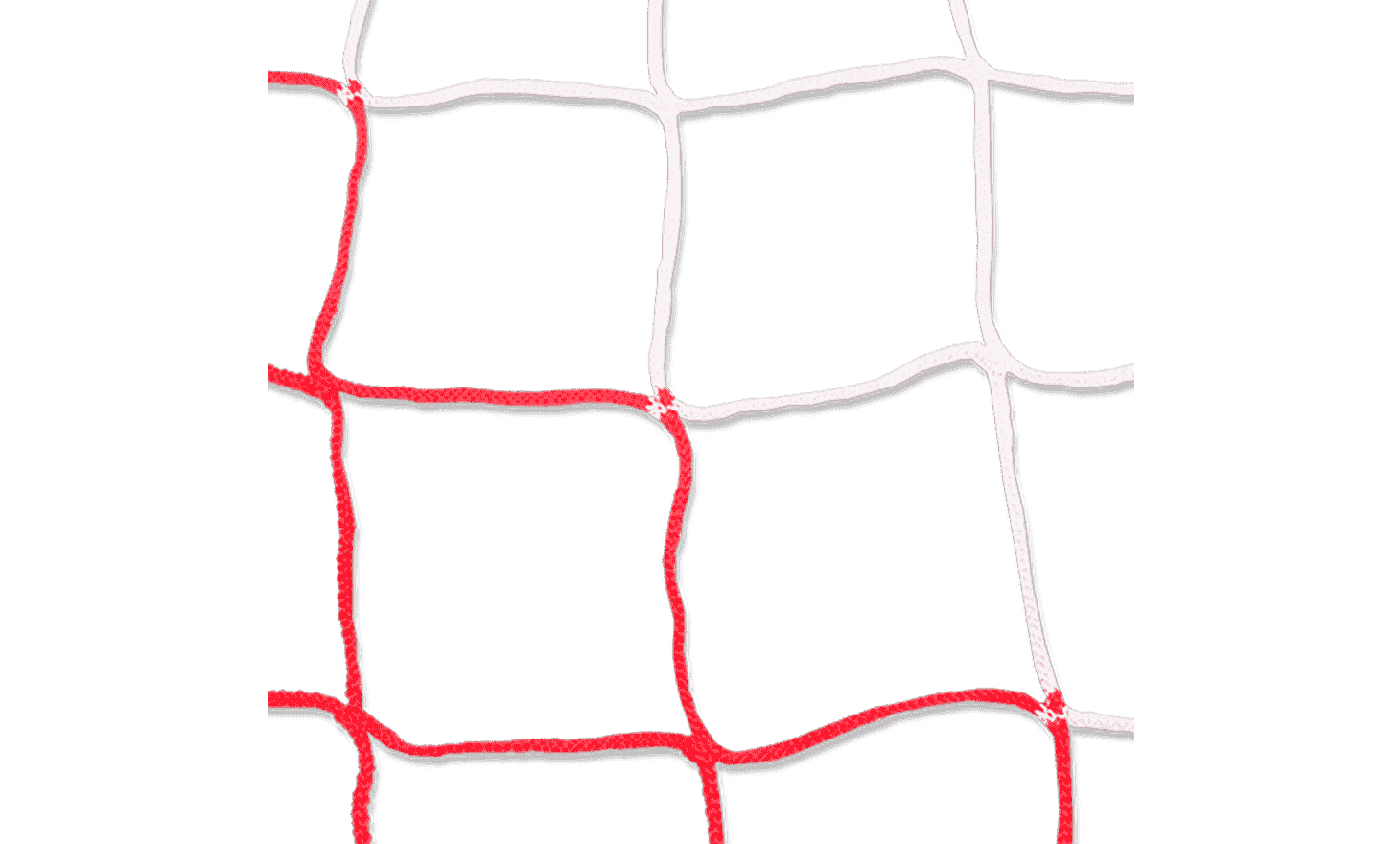 Goal Nets
